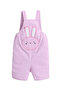 Infant Girls Bodysuit & Purple Stripe Dungaree Romper Set with Bunny Appliqué - 4