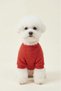 Bnt-S2510 Cat Dog Outfit Sweatshirt Red - 2