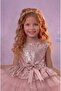 Birthday, Tulle Evening Dress Party Costume - 4