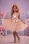 Birthday, Tulle Evening Dress Party Costume