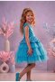 Birthday, Tulle Evening Dress Party Costume - 3