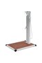 Outdoor Shower with Tray WPC Stainless Steel - 3