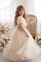 Girl's Princess Dress with Roses and Layers of Tulle, Special Occasion Dress, Ages 2-6, Pink/Powder/Cream - 5