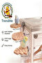 Trendme 1 Piece Wooden Pine Tree Figured Bird Perch - Natural Toy for Budgie and Sultan