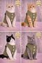 Green Color Fleece Cat & Dog Vest Pet Clothing - 2