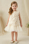 Baby Girl Birthday Party Wedding Dress Short Sleeve Sleeveless Rose Bow Tulle Tutu Lined - 2
