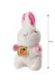 Plush Baby Pillow with Rabbit Figure 20 cm (S6) - 4