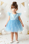 Baby Girl Birthday Party Wedding Dress Short Sleeve Snowflake Bow Tulle Tutu Lined