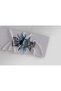 Sports Towel 3D Digital Printed Sports Fitness Towel 50X100 cm Cotton - 3