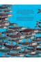 HOW DO OCEANS HELP US BREATHE? - 3