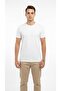 Men's Basic T-Shirt Slim Fit Crew Neck Cotton Lycra Daily Use