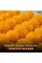 PHOOL MALA ORANGE 4 FEET 5PC - 5