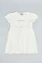 Embroidery Detail Flared Dress with Crew Neck and Puff Sleeves