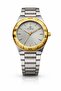 REGAL SD1434 Men’s Analog Watch Stainless Steel Strap Quartz Movementt Grey Dial Gold Bezel