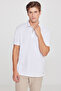 Men's White 100% Cotton Standard Fit Regular Cut Polo Collar T-Shirt - 3