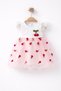 Baby Girl White Pink Cherry Embroidered Tulle Dress Special Occasion Birthday Party Dress - 3