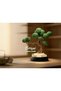 Rootglow Bonsai Ambient Lamp - Bonzai Zen Style Table and Night Ambient Lighting (USB Wired) - 8