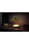 Rootglow Bonsai Ambient Lamp - Bonzai Zen Style Table and Night Ambient Lighting (USB Wired) - 6