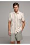 Regular Fit Polo Collar Striped Men's Ecru Short Sleeve T-Shirt