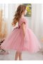 Girls Floral Mesh Lace Contrast Bow Detail Mesh Party Dress - 6