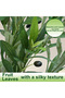 128cm Artificial Olive Trees 2 Trunk,Faux Olive Tree with White Planter for Office Patio Home Decor - 7