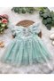 Yasemin 2 Lace Detailed Holiday Special Occasion Girl's Baby Dress - 3