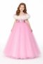 Tutu Rose Decorated Long Skirted Evening Dress & Pink Long Skirted Dress Costume