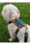 Dog Chest Harness Adjustable for Small & Small Breeds Denim Blue