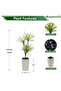 110cm Artificial Dracaena Tree, Fake Plant with Tall White Planter for Indoor Office Home Decor - 5