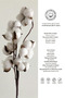 Neva 100% Cotton Satin 200 Tc (80 Thread) Printed Family Size Duvet Cover Set - 2 Duvet Covers (7 Pieces) - 2
