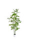 170cm Artificial Bamboo Tree with Tall White Planter for Office Hotel Garden Home Decor
