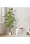 170cm Artificial Bamboo Tree with Tall White Planter for Office Hotel Garden Home Decor - 4