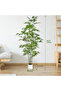 170cm Artificial Bamboo Tree with Tall White Planter for Office Hotel Garden Home Decor - 2