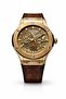 XLOTS IronX Skeleton Gold Men’s Watch Gold Dial Brown PU Leather Strap Analog Quartz watch