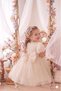 Baby Girl Dress Girls' Rose Tulle Princess Dress Bow Birthday Party Dress 1-5 Years - 2