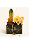 Chameleon gift set - 3