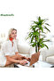 180cm Artificial Dracaena Tree, Fake Yucca Tree with White Planter for Home Office Room Decor Indoor - 4