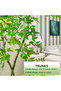 120cm Artificial Bamboo Tree, Fake Nandina Tree, Faux Nandina Bamboo Bonsai for Home Office Decor - 6