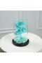 Fellora Premium Turquoise Infinity Roses - 5
