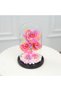 Fellora Premium Colorful Infinity Roses - 4