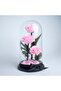 Pink Infinity Roses - 4