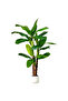 210cm Artificial Banana 3 Trunks Tree Faux Banana Tree for Office Home Garden Decor