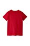 Partial Yellow-Red 5 Star Adult T-Shirt - 6