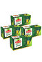 Herdem Green Tea Filtered Sachet 1.6Gr 25 Pieces Four Pack