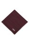 Cotton Silk Scarf - New Hologram - Burgundy Cream