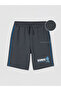Timeless Clothing & Timeless Choices Blue Quick Hedgehogboy's Shorts
