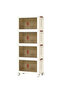4-Tier Plastic Storage Cabinet with Double Doors with Wheels for Home & Office (65x40x142 cm)