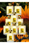 9 قطع عطر رقم 01 سعة 100 مل