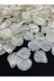 25 Pieces of Large Size Mega Oyster Model Luxury Plated Pearlescent Cream Pearl Beads, Keychain, Jewelry Making - 5