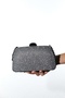 Yvette Platinum Silvery Women's Evening Dress Bag - 7